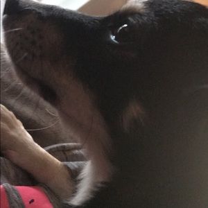 Meet your Posher, Jacqueline